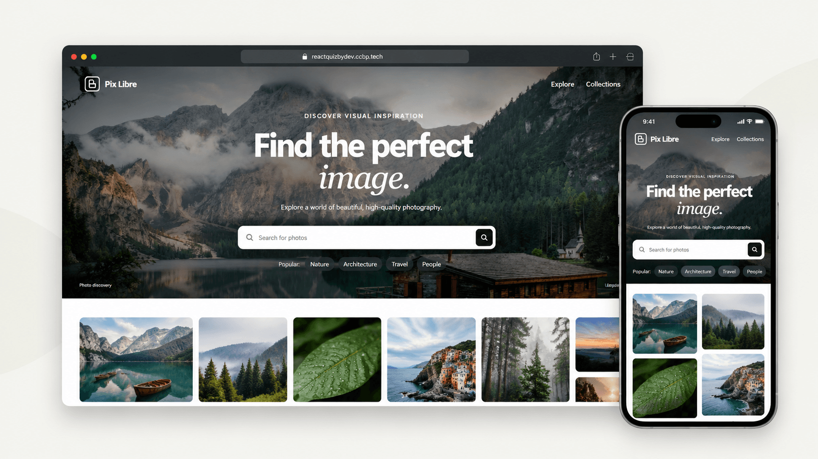PixLibre photo discovery application preview