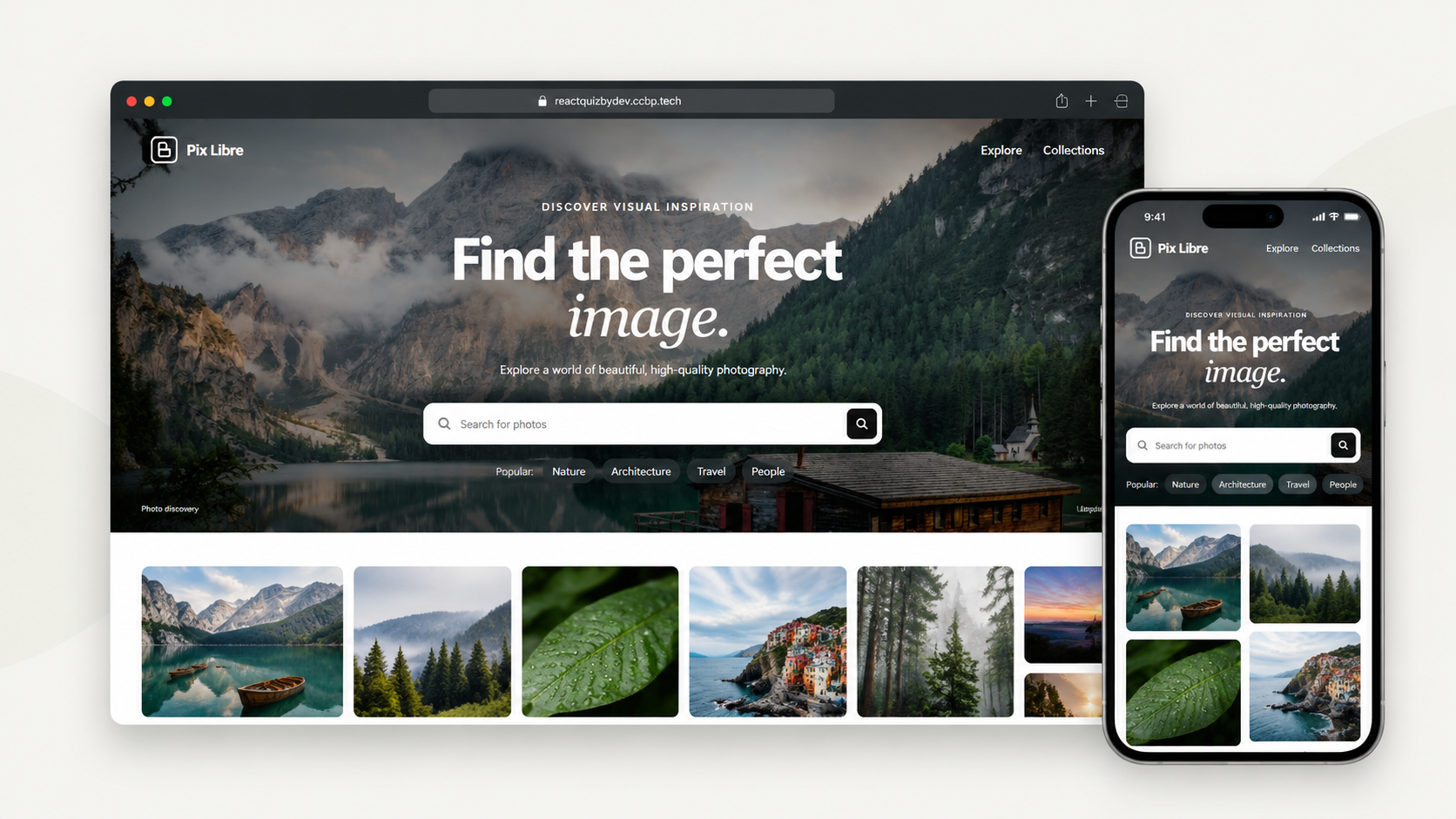 PixLibre project preview